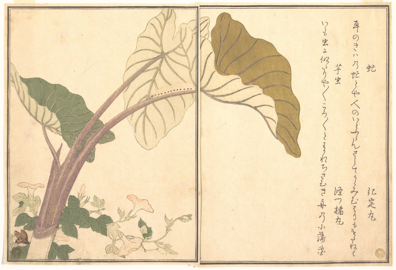 Hästbroms (abu); grön larv, imomushi, ur Bildbok över krypande varelser (Ehon mushi erami) av Kitagawa Utamaro