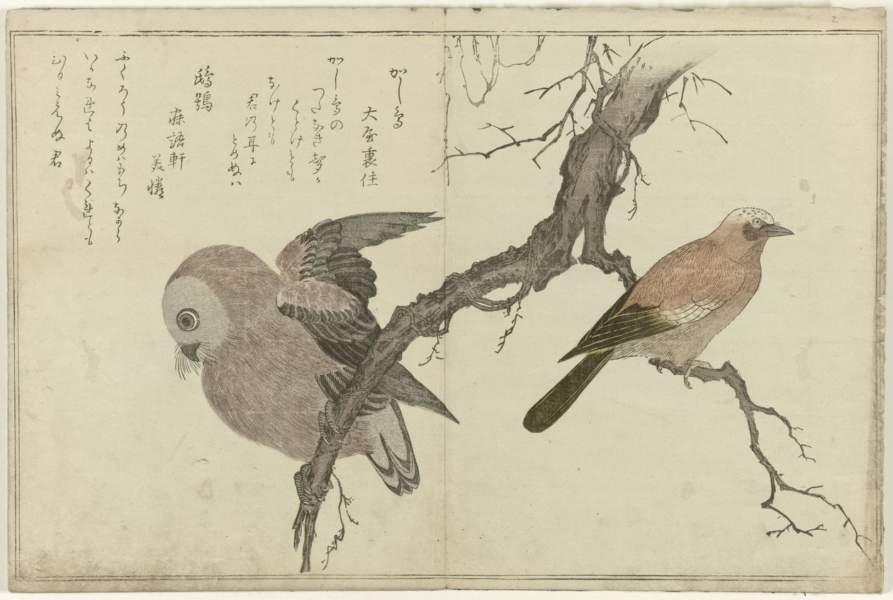 Jay och uggla av Kitagawa Utamaro