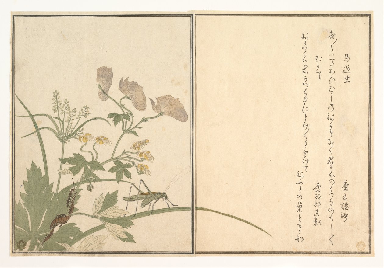 Katydid (Umaoi-mushi); Tusenfoting (Mukade), ur bildboken om krypande varelser (Ehon mushi erami) av Kitagawa Utamaro