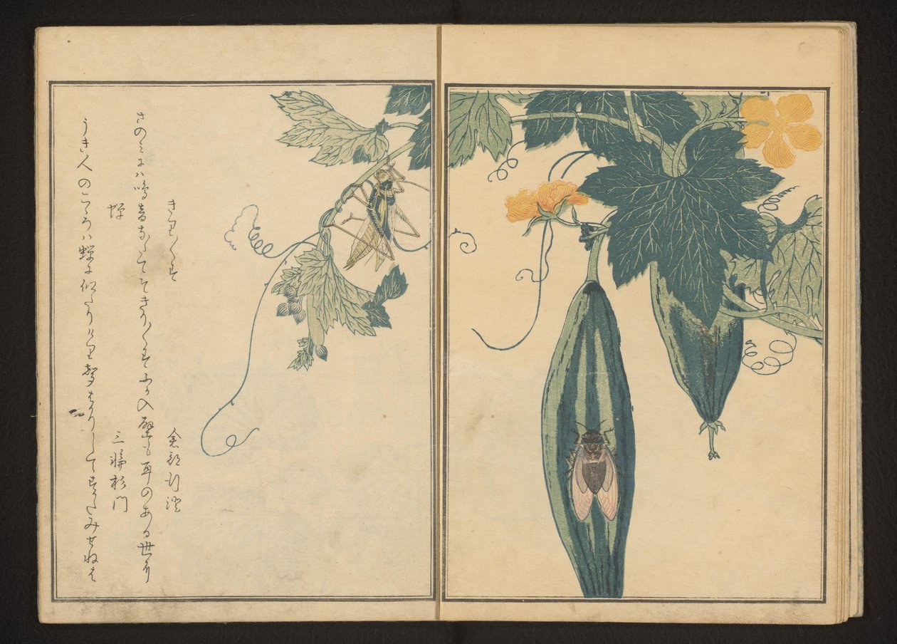 Katydid och cikada på kalebass av Kitagawa Utamaro