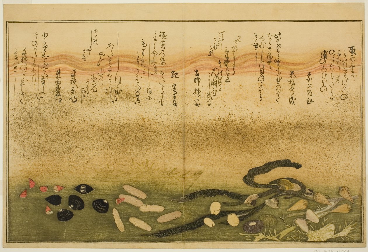 Minashi utanför, salt utanför, mögel två utanför, miso utanför, jimmy utanför, idé d chigusa utanför, från tee st latte bracts of the tide)” av Kitagawa Utamaro
