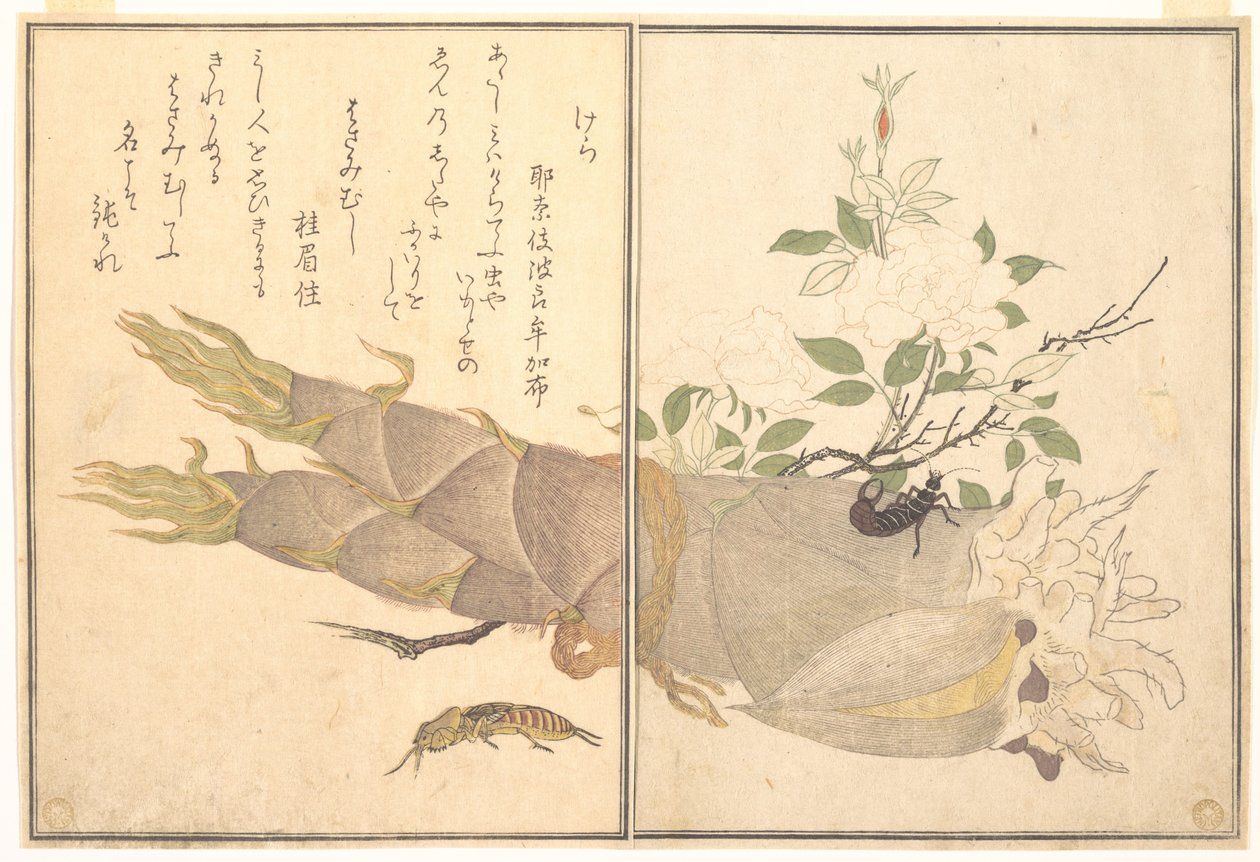 Mullvadssyrsa (Kera); Öronpinnsyrsa (Hasami-mushi), ur Bildboken om krypande varelser (Ehon mushi erami) av Kitagawa Utamaro