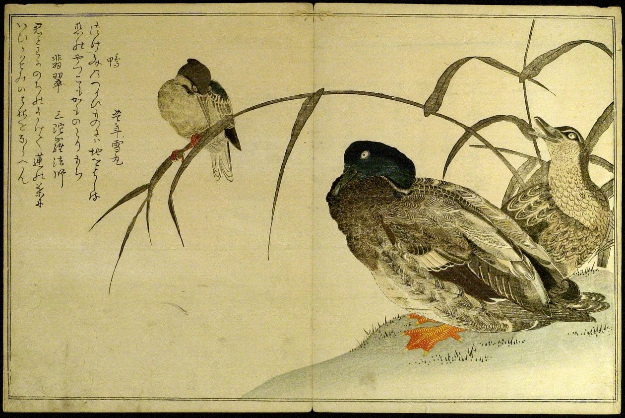 Myriader av fåglar: En Kyoka-tävling (Momo chidori kyoka awase) av Kitagawa Utamaro