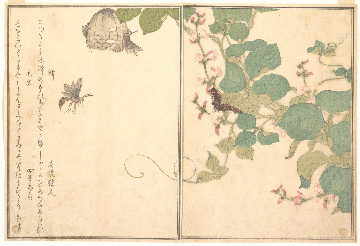Pappersgeting (Hachi); hårig larv (Kemushi), ur Bildbok om krypande varelser (Ehon mushi erami) av Kitagawa Utamaro