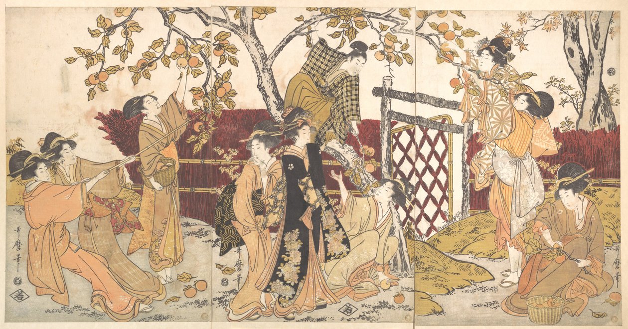 Plockning av kaki av Kitagawa Utamaro