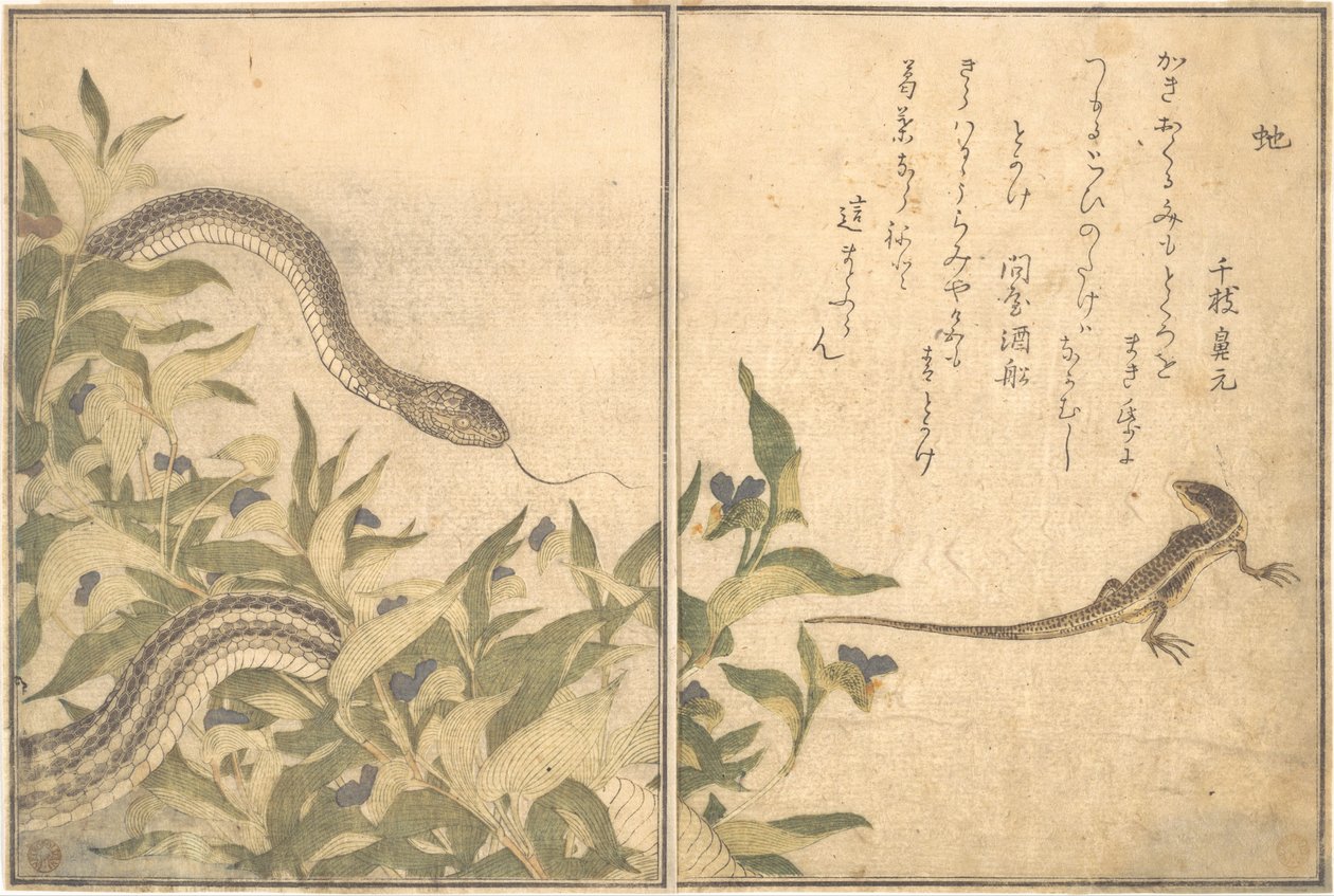 Råttsnok (Hebi); ödla eller skink (Tokage), ur Bilderboken med krypande varelser (Ehon mushi erami) av Kitagawa Utamaro