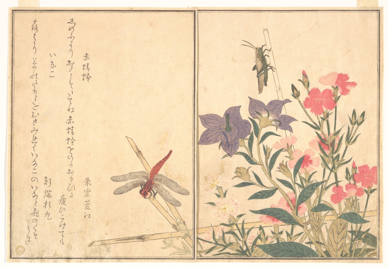 Röd slända (Akatonbo); Gräshoppa (Inago), ur Bildboken om krypande varelser (Ehon mushi erami) av Kitagawa Utamaro