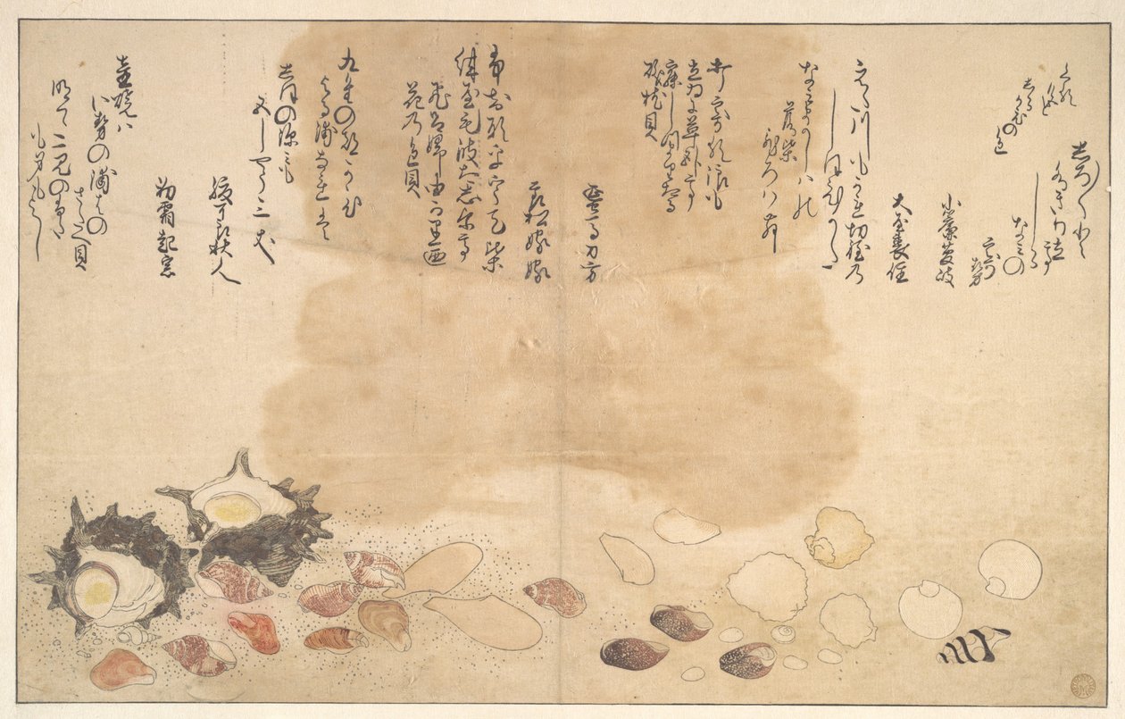 Snäckor under vattnet av Kitagawa Utamaro