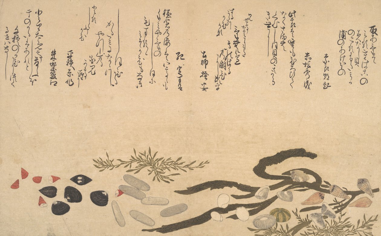 Skal under vatten, 1790. av Kitagawa Utamaro