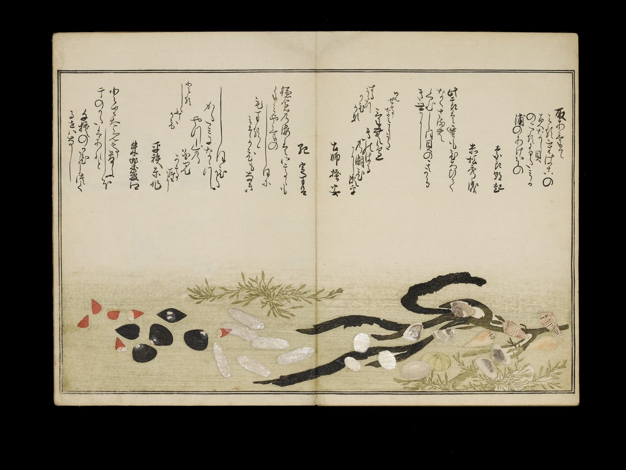 Shiohi no tsuto (Gåvor från Ebb Tide), känd som Shell Book, 1789 (träblock i färg) av Kitagawa Utamaro