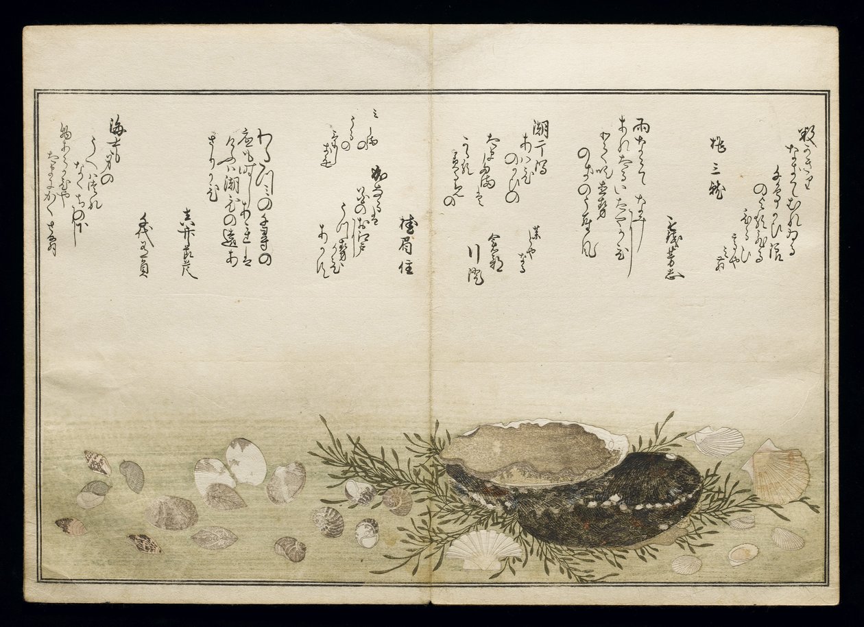 Shiohi no tsuto (Gåvor från Ebb Tide), känd som Shell Book, 1789 (träblock i färg) av Kitagawa Utamaro