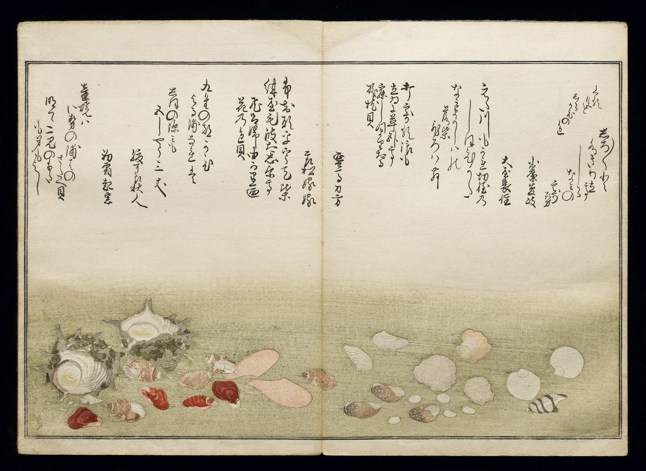 Shiohi no tsuto (Gåvor från Ebb Tide), känd som Shell Book, 1789 (träblock i färg) av Kitagawa Utamaro