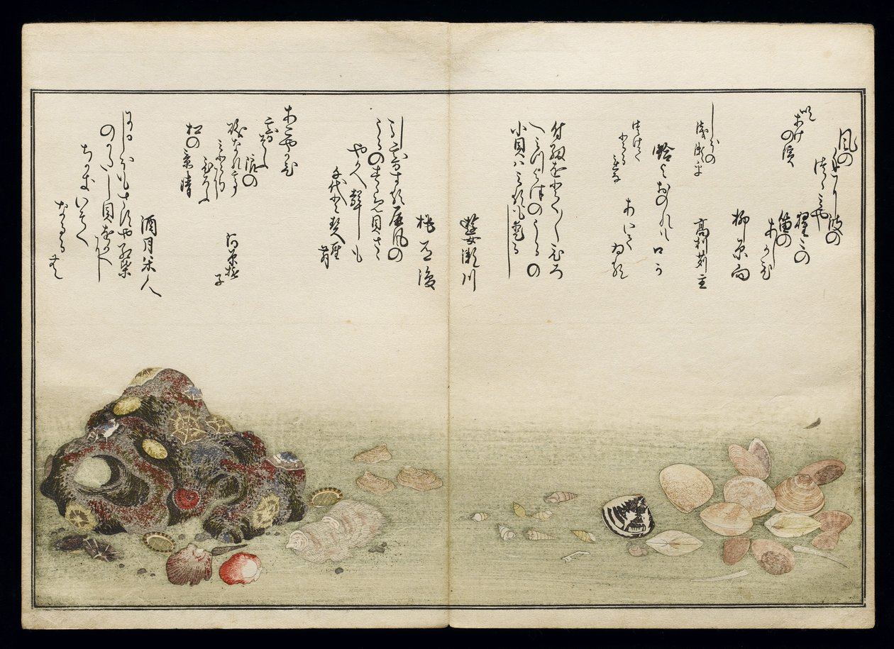 Shiohi no tsuto (Gåvor från Ebb Tide), känd som Shell Book, 1789 (träblock i färg) av Kitagawa Utamaro