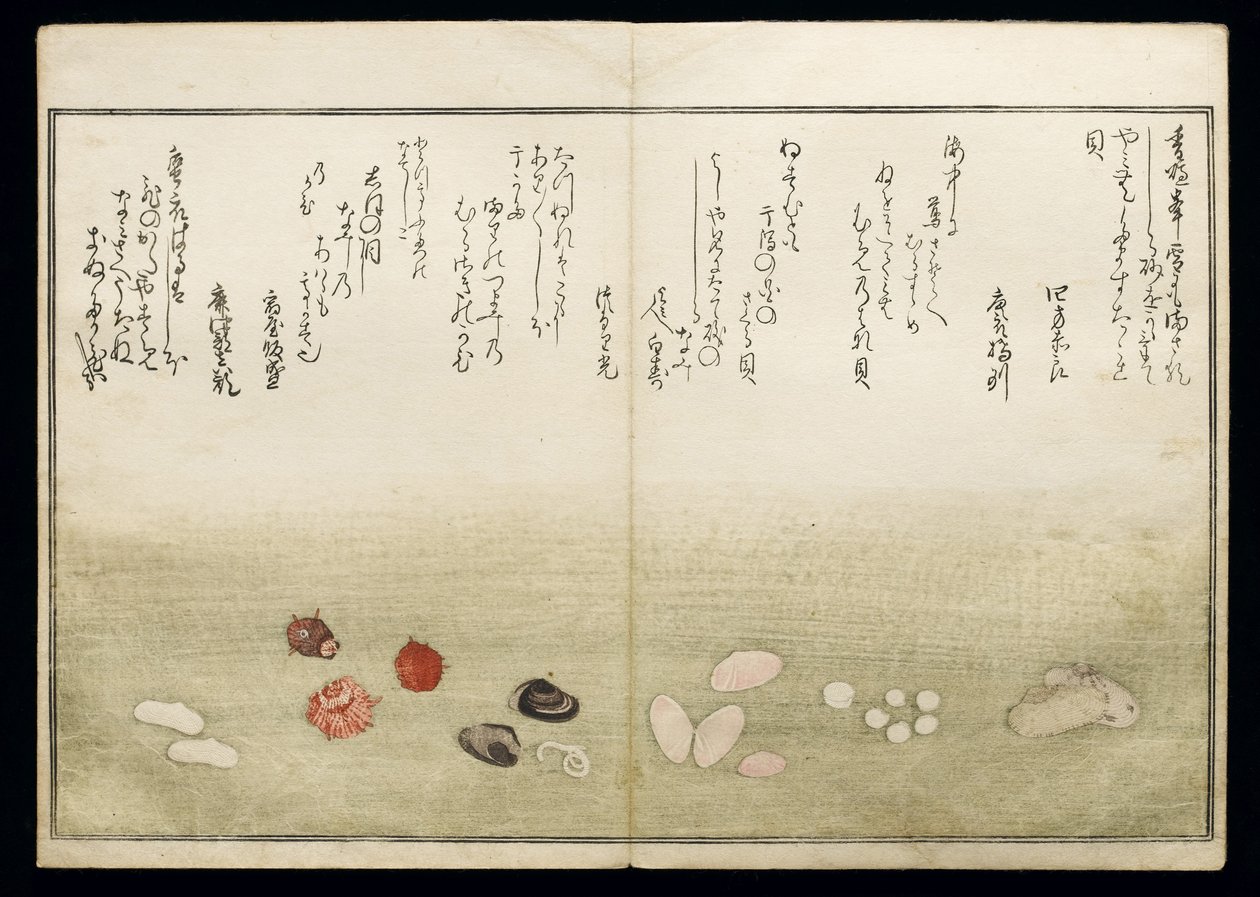 Shiohi no tsuto (Gåvor från Ebb Tide), känd som Shell Book, 1789 (träblock i färg) av Kitagawa Utamaro