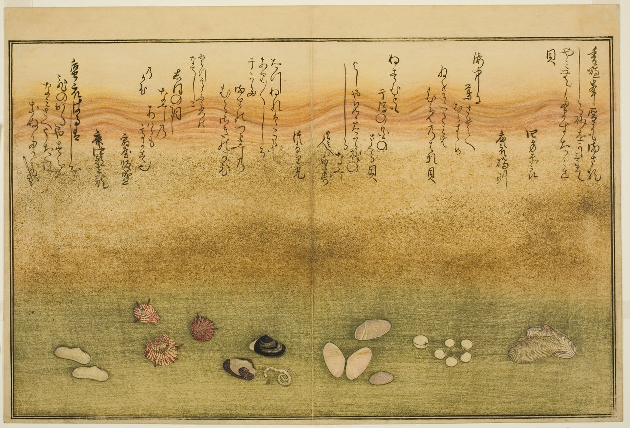 Sudare utanför, blomma utanför, körsbärsblom utanför, ingen agat, nadeshiko utanför, idé d Kinuta utanför, från tee st latte bracts of the tidvat)” av Kitagawa Utamaro