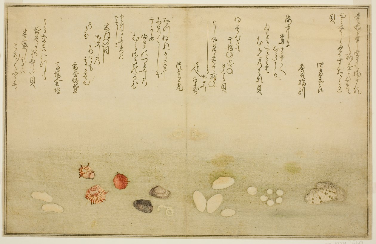 Sudare utanför, blomma utanför, körsbärsblom utanför, ingen agat, nadeshiko utanför, idé d Kinuta utanför, från tee st latte bracts of the tidvat)” av Kitagawa Utamaro