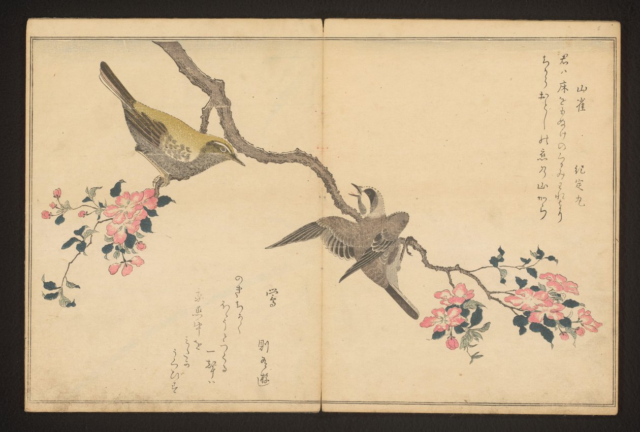 Mes och busksångare av Kitagawa Utamaro