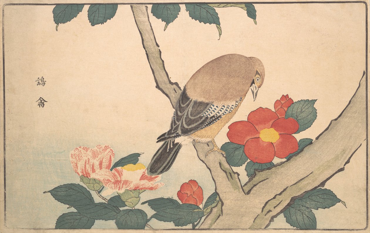 Kamelia med en fågel, 1789. av Kitao Masayoshi