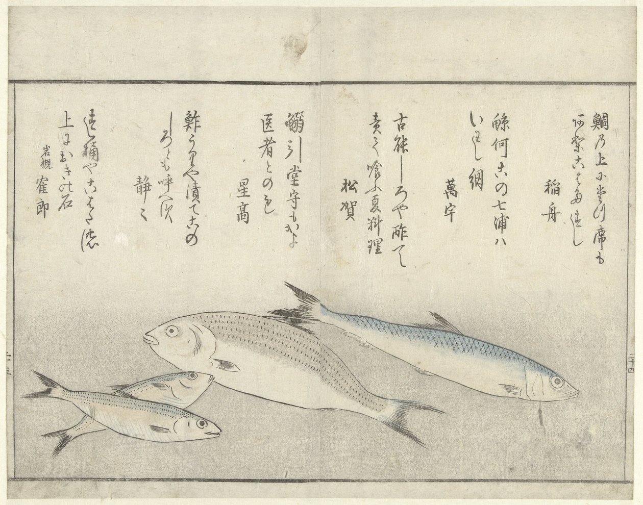 Fyra fiskar av Kitao Masayoshi