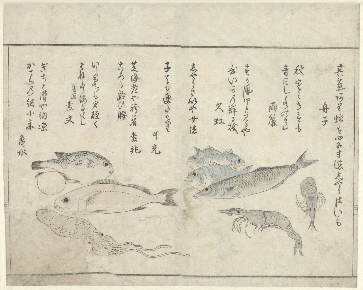 Havsdjur av Kitao Masayoshi