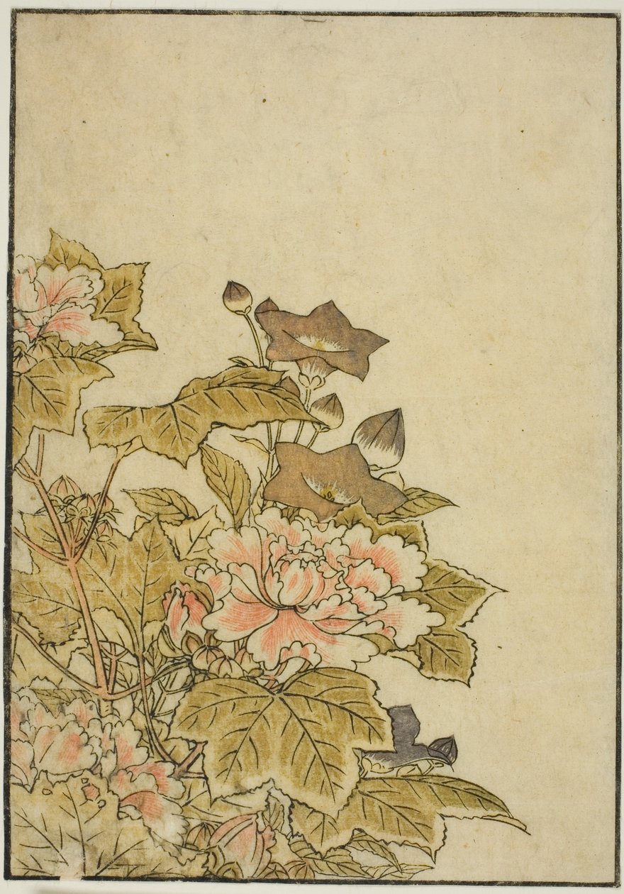 Autumn Flowers: Peonies and Bellflowers, från boken "Mirror of Beautiful Women of the Pleasure Quarters (Seiro bijin awase sugata kagami)," vol. ２ av Kitao Shigemasa