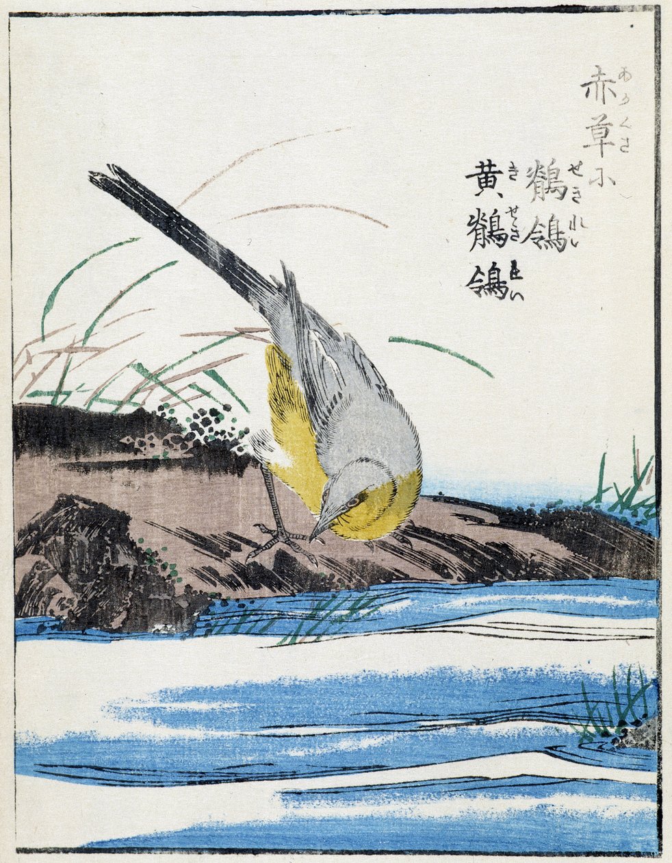 Fågel. Japansk teckning av Kitao Kosuisai av Kitao Shigemasa