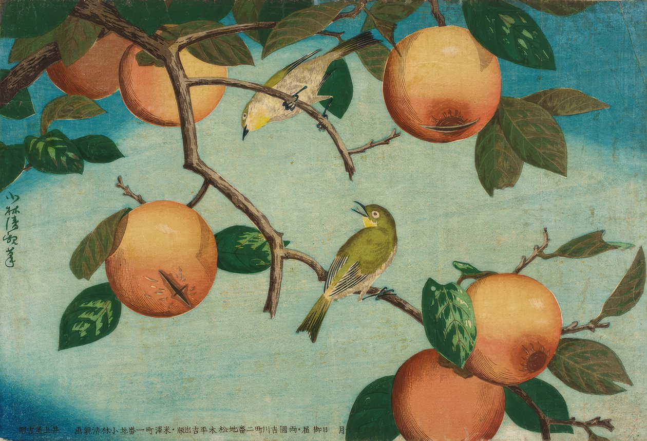 Persimmons och japanska glasögon fåglar av Kiyochika Kobayashi