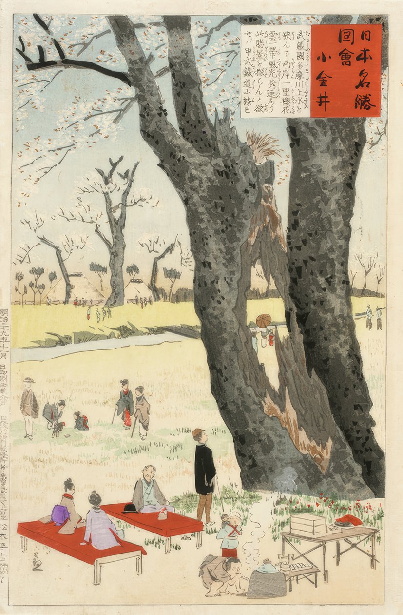 Koganei, körsbärsblommor av Kiyochika Kobayashi