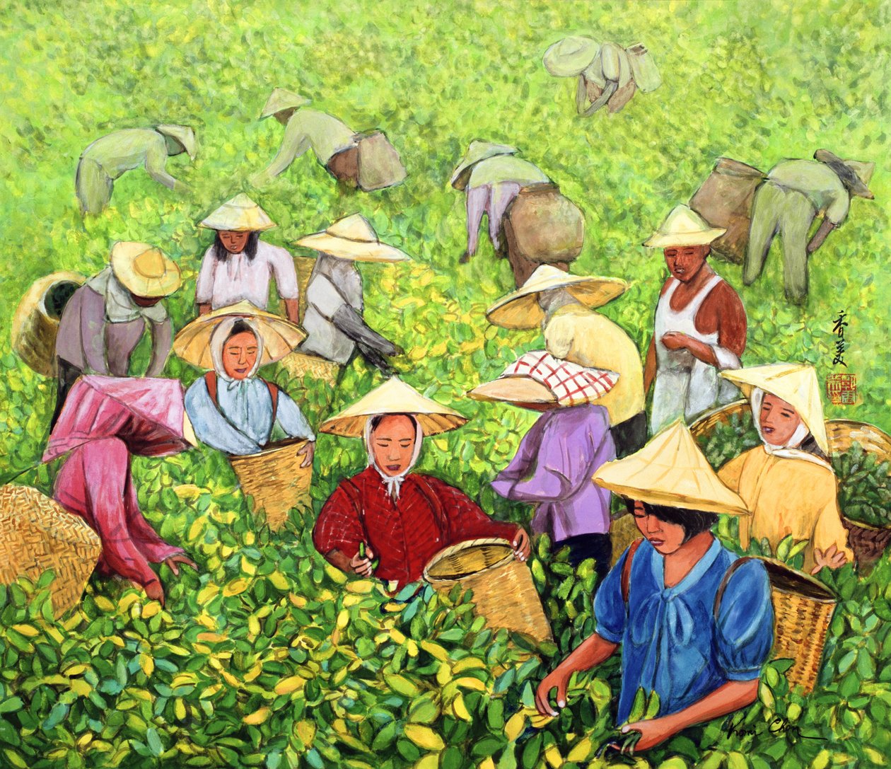 Tea Picking Girl, 1994 (gouache på siden) av Komi Chen