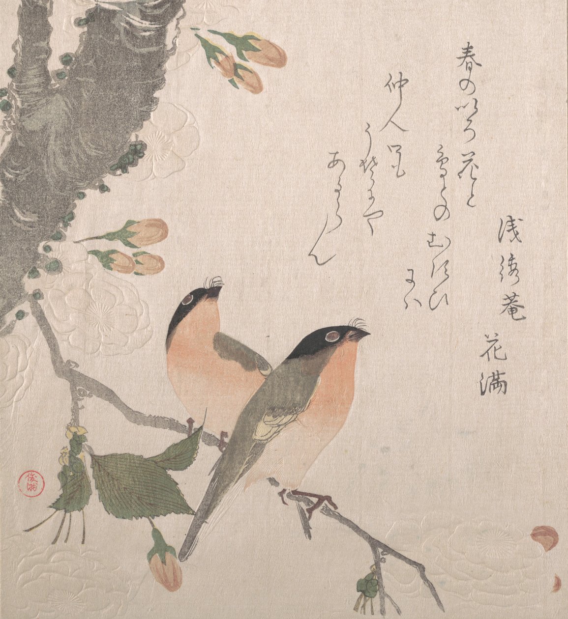 Domherrar och körsbärsblommor, 1800-talet. av Kubo Shunman