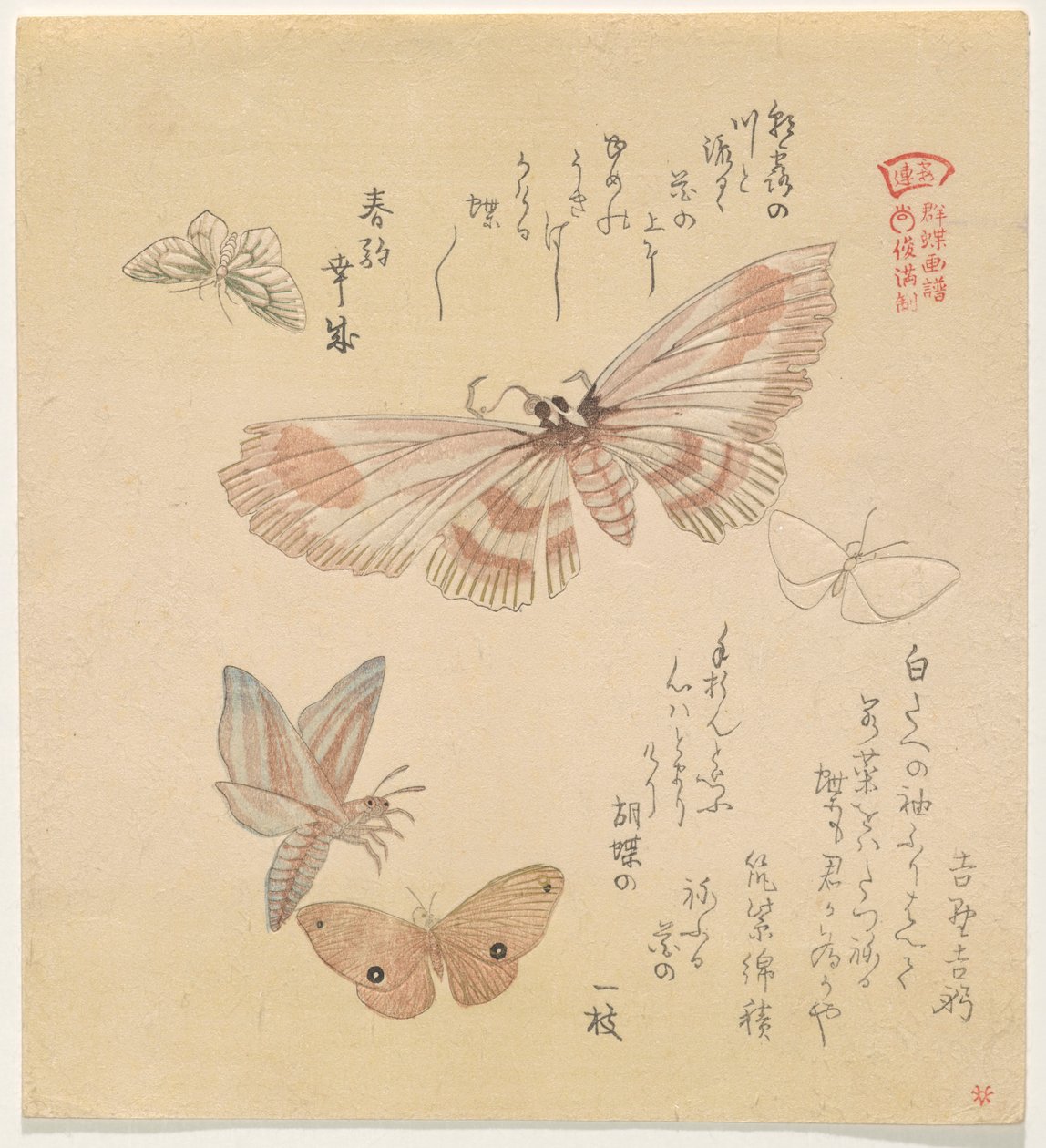 Fjärilar och malar, från serien A Flock of Butterflies (Gunch? Gafu) av Kubo Shunman