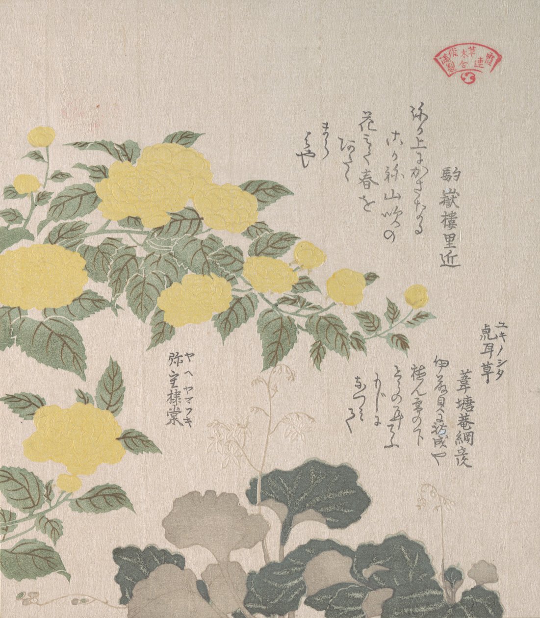 Corchorus eller Yellow Rose and Creeping Saxifrage, 1800-talet. av Kubo Shunman