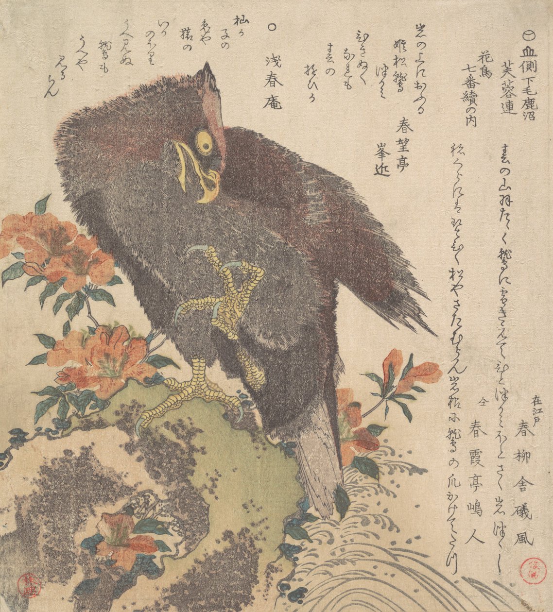 Eagle on a Rock, blommande azaleor, ca. 1800. av Kubo Shunman