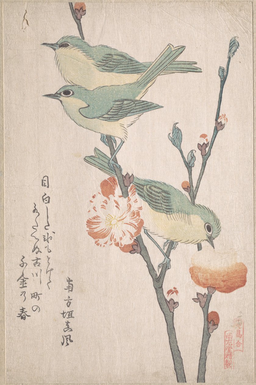 Japanska glasögonfåglar på en persikoträdgren, ur serien En samling fåglar (Tori awase), ur surimonoalbumet Vårregn (Harusame surimono-jō, vol. 3) av Kubo Shunman