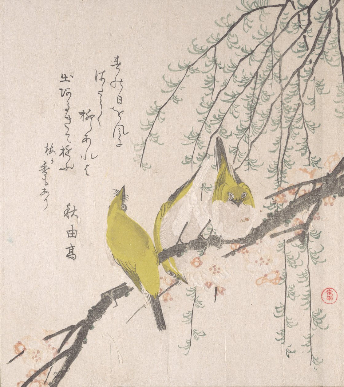 Japanska vita ögon med plommonträd och pil..., ca. 1810. av Kubo Shunman