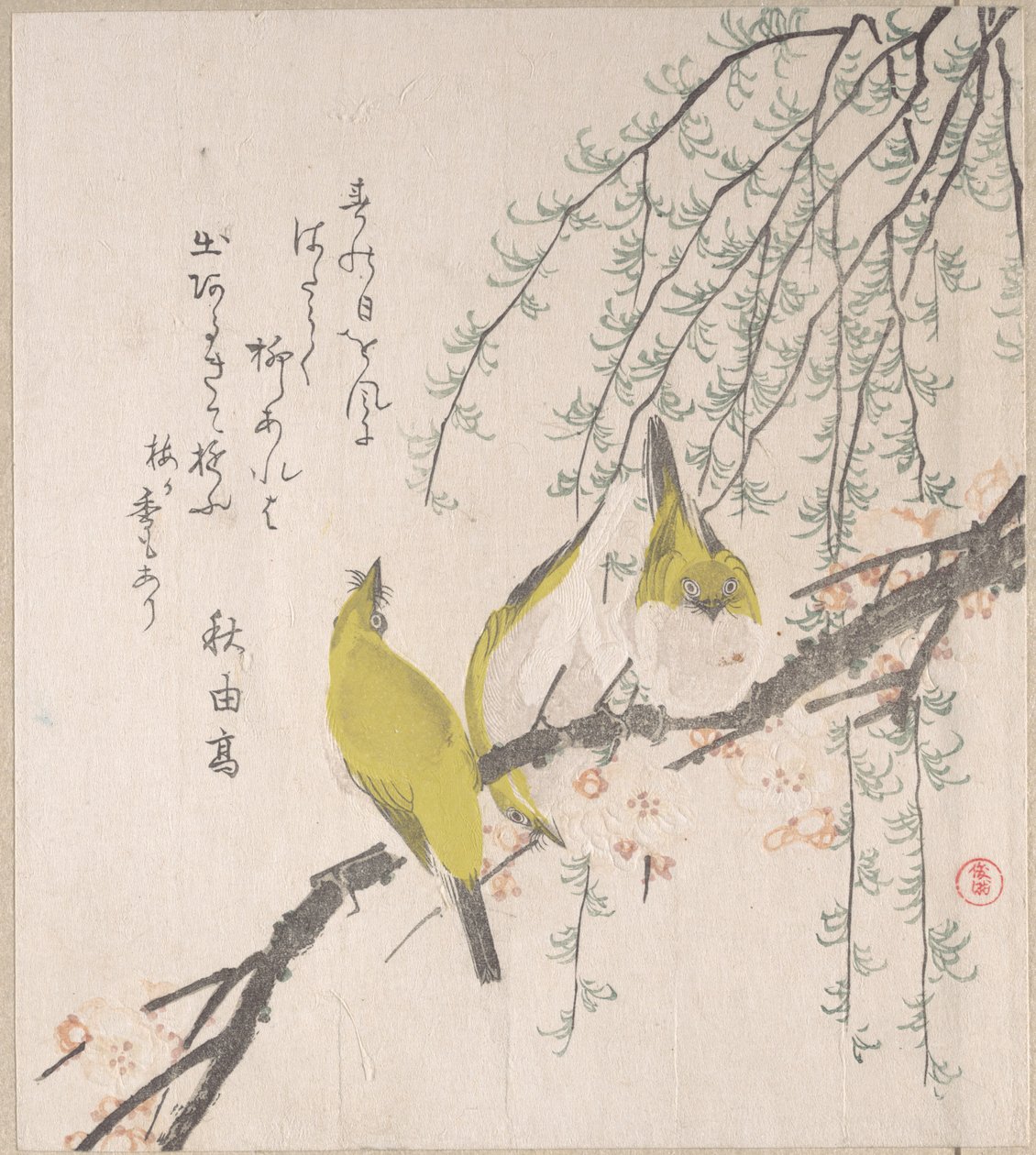 Japanska vitögonfåglar med plommonträd och pil, ur albumet ”Vårregn – Surimono” (Harusame surimono-jō, vol. 3) av Kubo Shunman