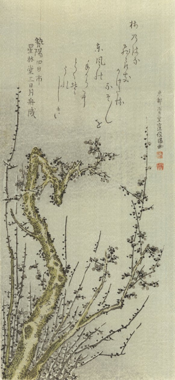 Gammalt plommonträd, 1796. av Kubo Shunman