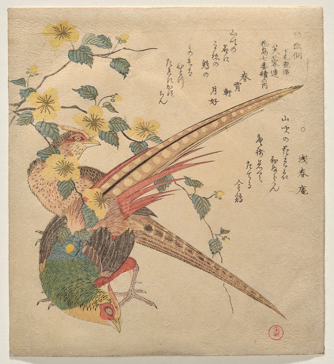 Ett par kinesiska fasaner och en gren av yamabuki-blommor av Kubo Shunman