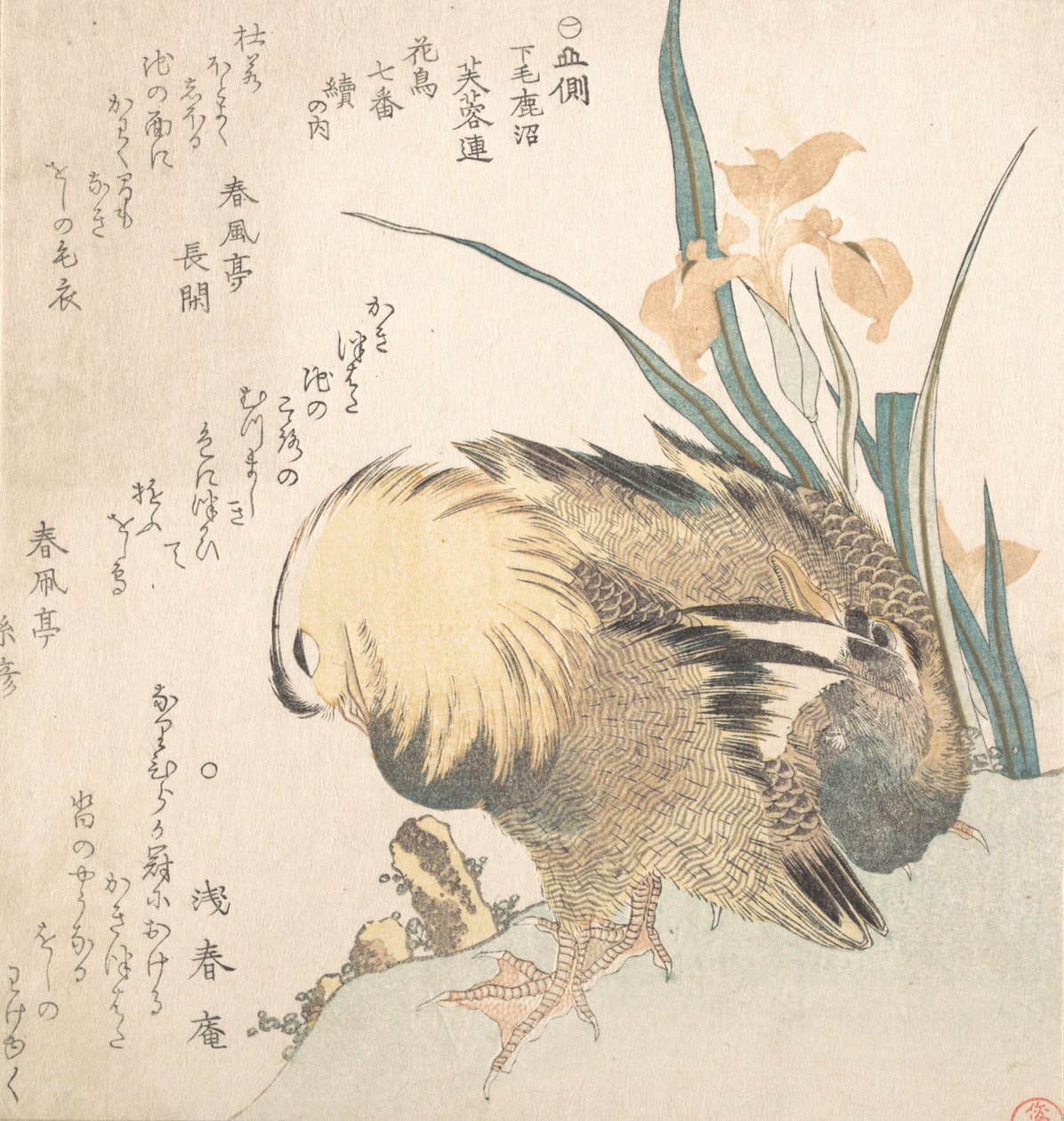 Par mandarinänder och irisblommor, sent 1700-tidigt 1800-tal. av Kubo Shunman