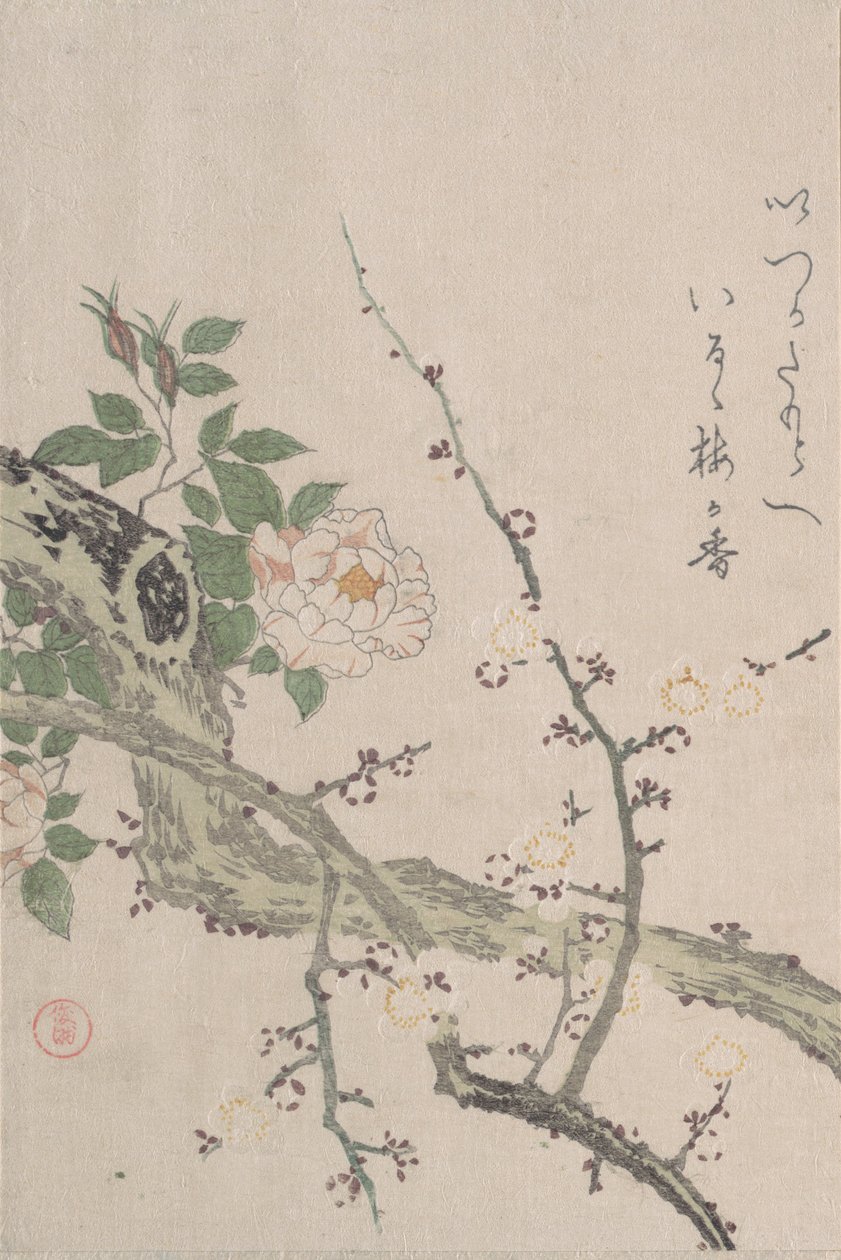 バラと梅の花、19世紀。 スウェーデンの av Kubo Shunman