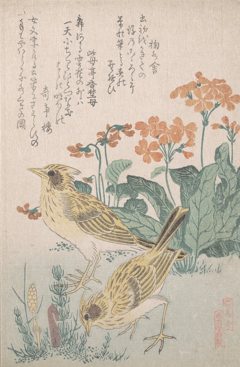 Lärkor och primörer..., ca. 1805-10. av Kubo Shunman