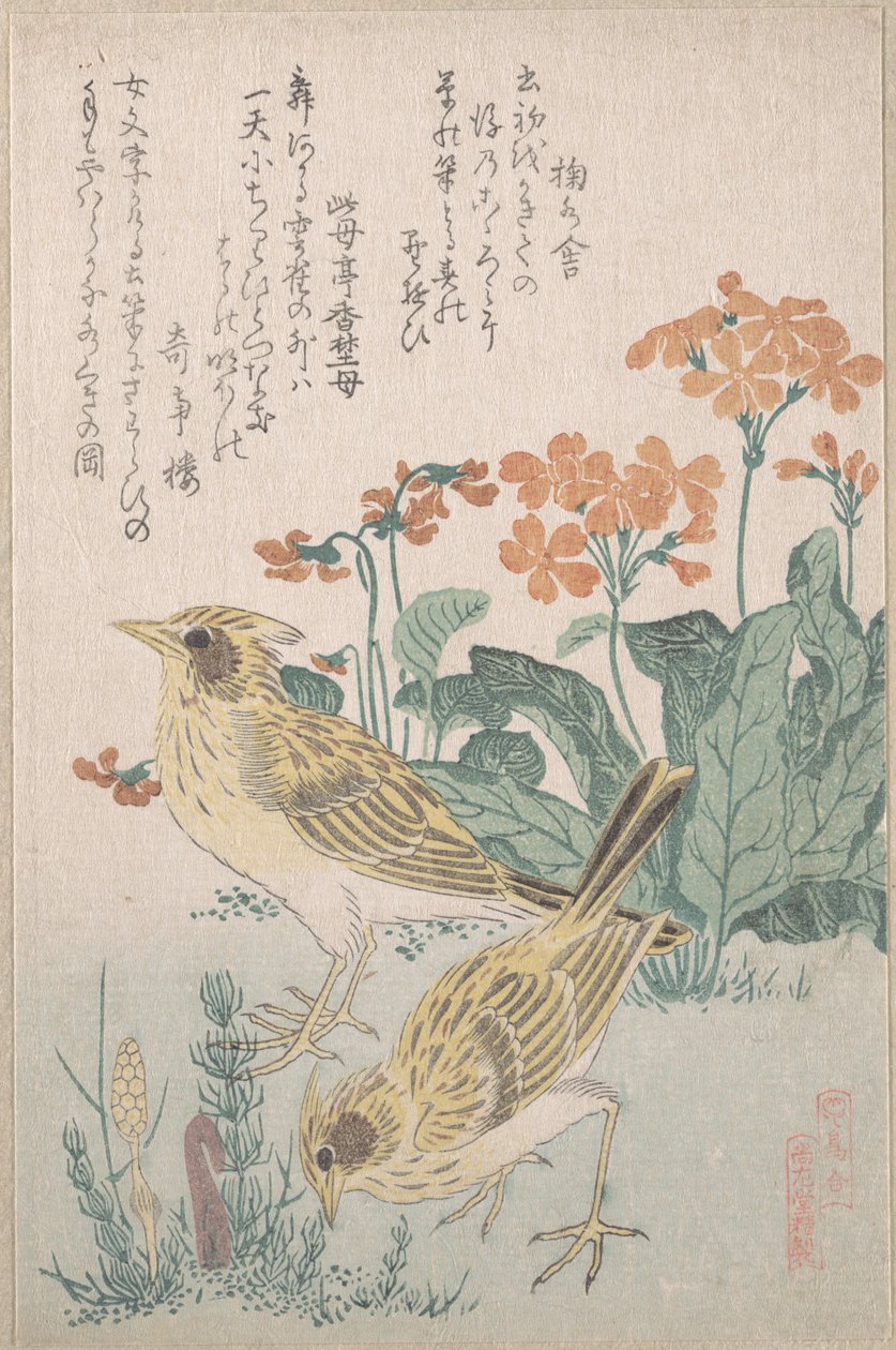 Sånglärkor och gullvivor, ur serien "En samling fåglar" (Tori awase), ur surimonoalbumet Vårregn (Harusame surimono-jō, vol. 3) av Kubo Shunman