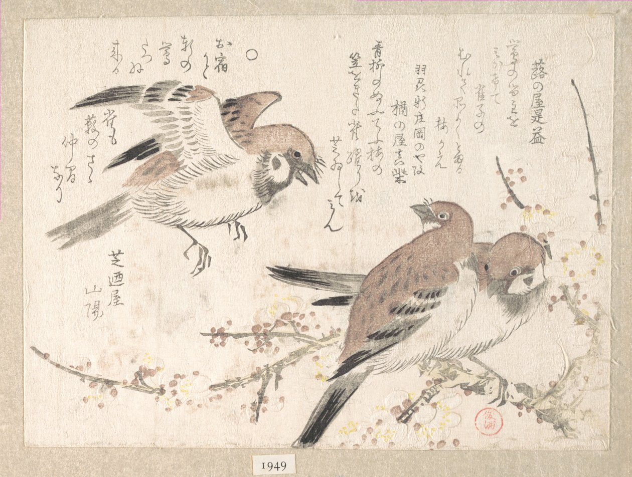 Sparvar och plommonblommor av Kubo Shunman