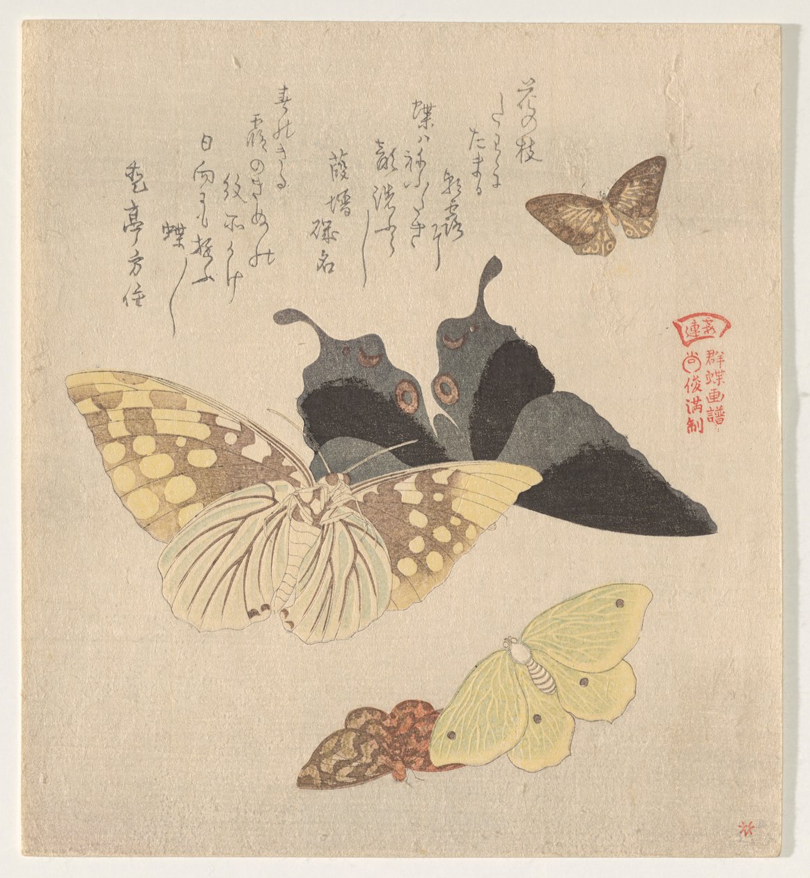 The Painting Manual of Flock of Butterflies (Guncho? Gafu) av Kubo Shunman