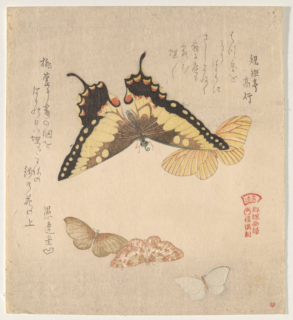 The Painting Manual of Flock of Butterflies (Guncho? Gafu) av Kubo Shunman