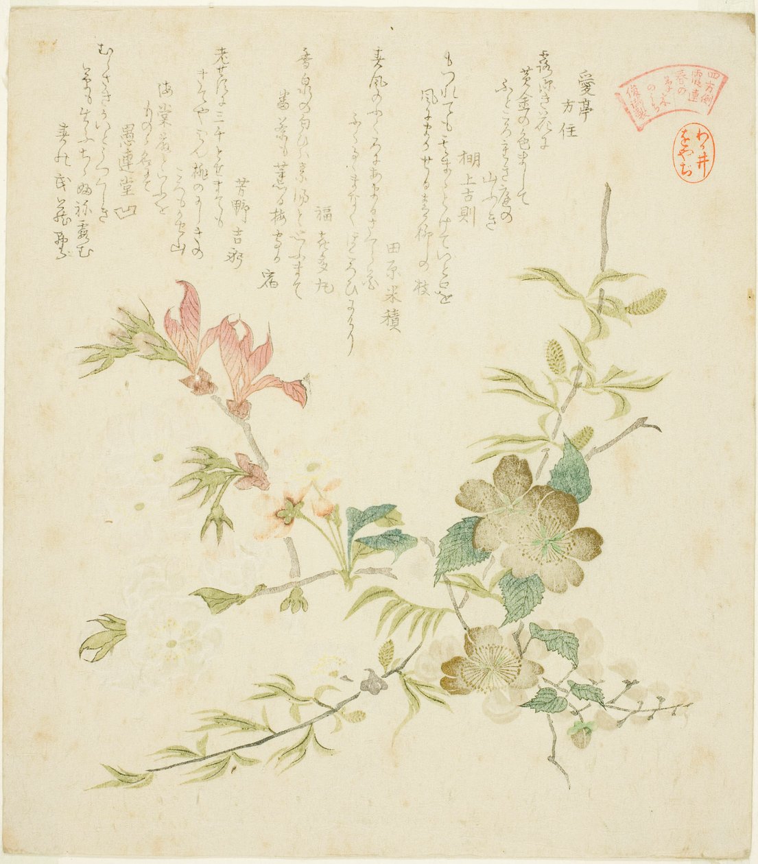 Olika vårblommor, från serien "Vårväxter och träd för Kasumi Poetry Circle of the Yomo Group (Yomogawa Kasumi-ren haru no kusaki no uchi)" av Kubo Shunman