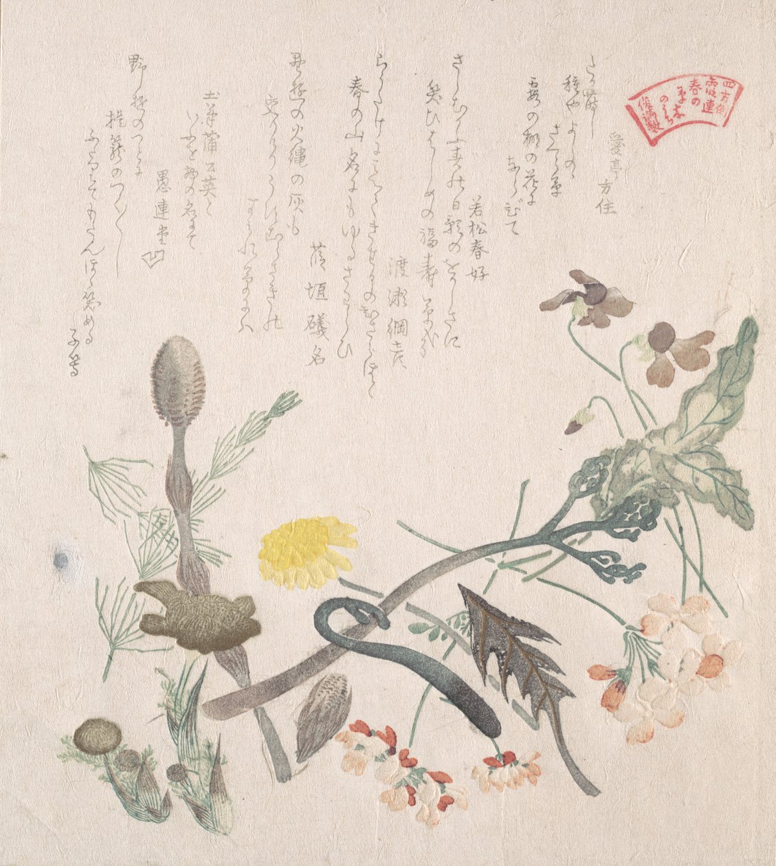 Violer, primörer och andra vårblommor, 1800-talet. av Kubo Shunman