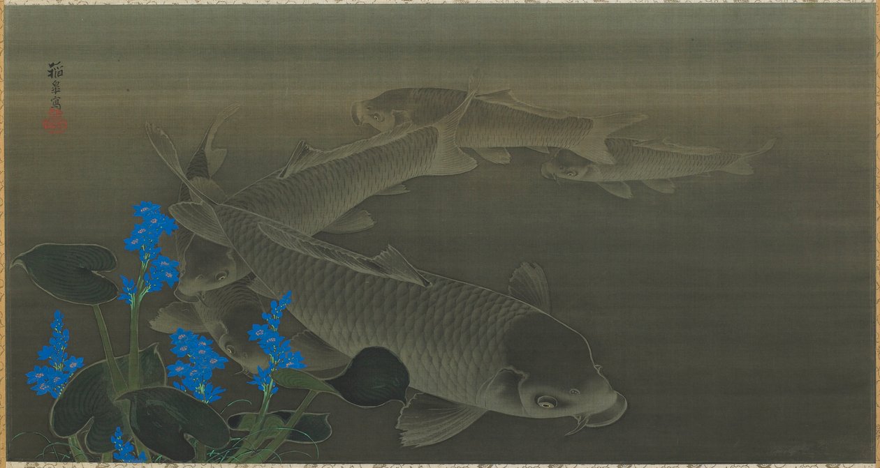 Karp, Edo-period, tidigt 1800-tal. av Kuroda Toko