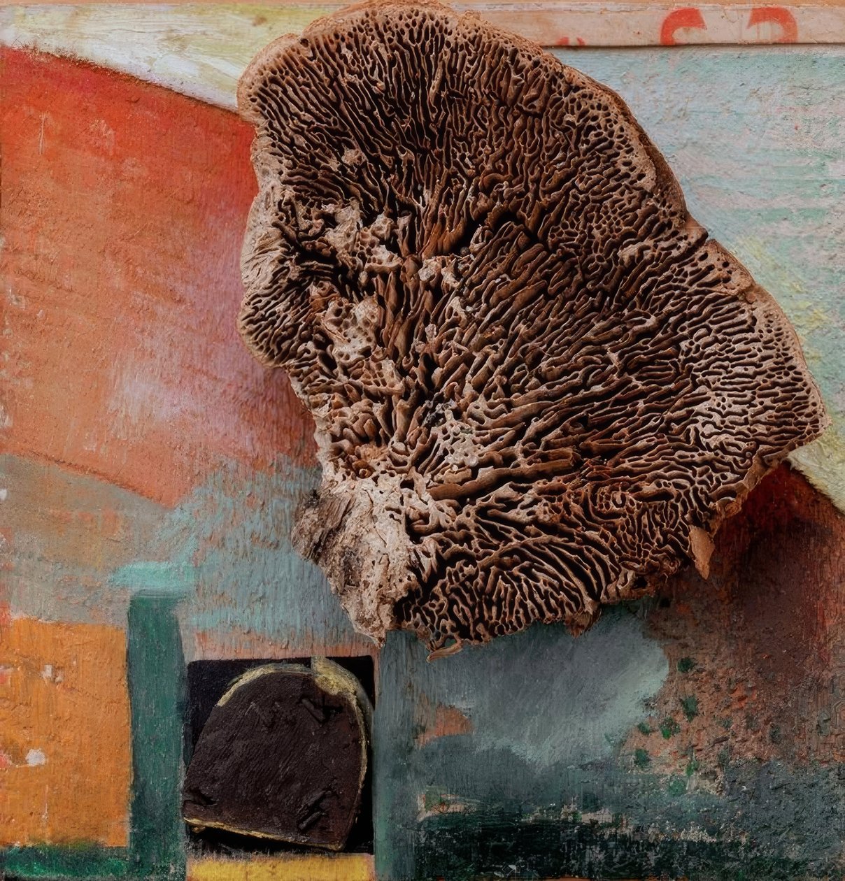 Namnlös (Merz bild med korall) av Kurt Schwitters