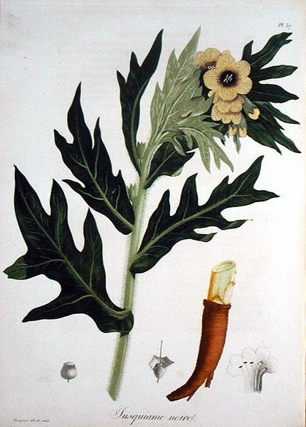 Henbane från 